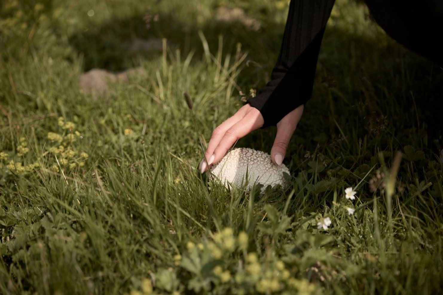 AnimaEdit_FromCatwalksToCordyceps_01