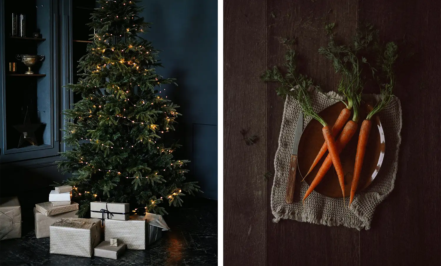 © Olena Bohovyk, © Gaelle Marcel